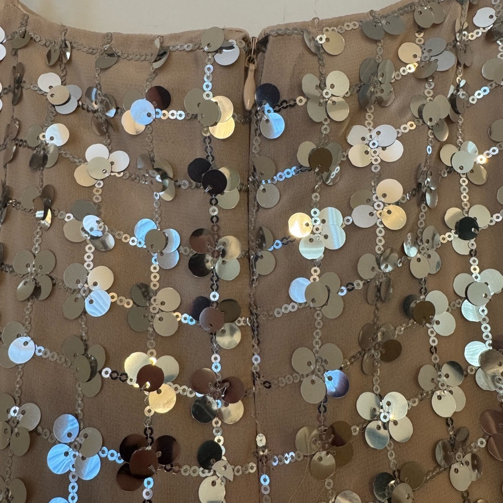 Zara Silver Sequin Beige Square Neck Mini Dress- Small - Picture 5 of 16